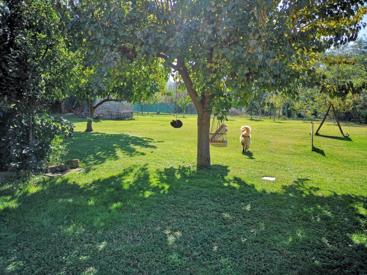 River Melody Bettona Exterior photo